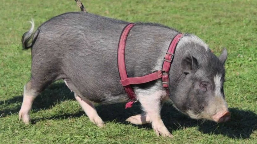 Probuzení na samém sklonku února v ZOO Zelčín