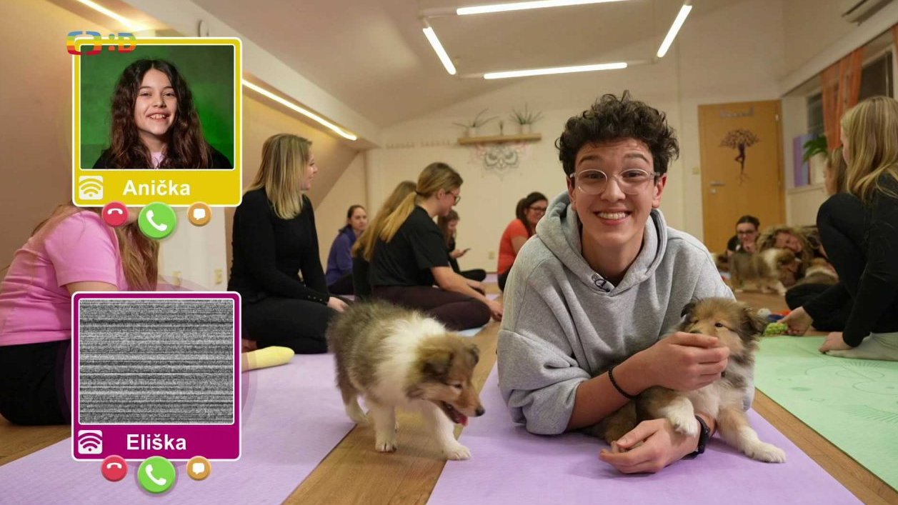 Volný čas: Jóga se štěňaty