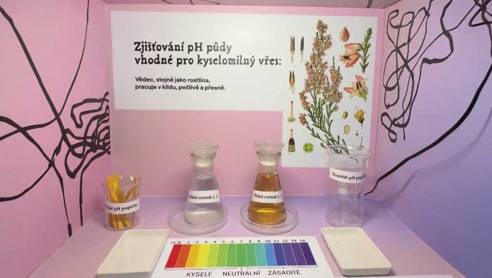 Planeta Plantae – Svět podle rostlin