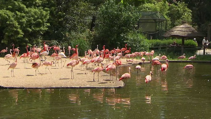 Zoo Praha