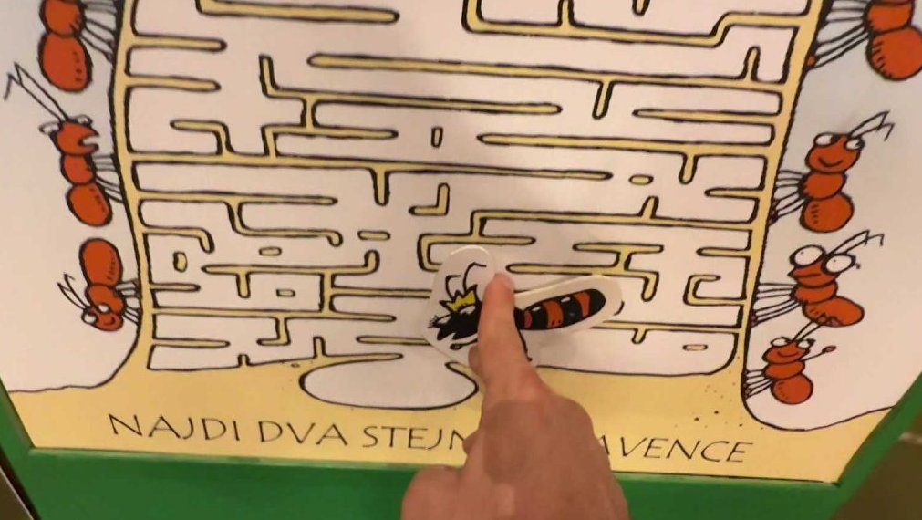 Mezi námi hmyzáky aneb společenský život hmyzu
