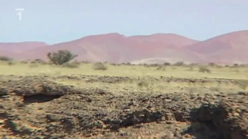 Reportáž: Poušť Namib