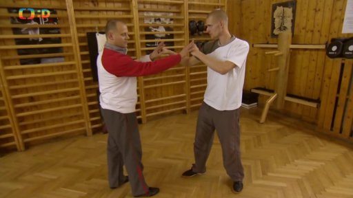 Herní tipy: WING TSUN - 2. část