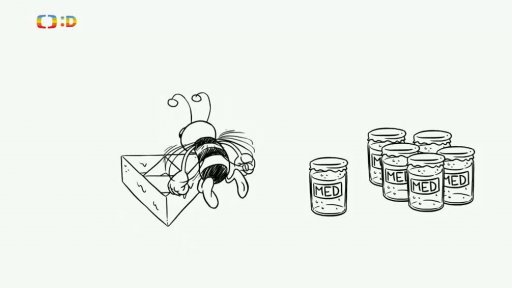 Nápověda: Včely jsou geniální
