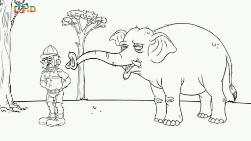 Nápověda: Sloní infrazvuk