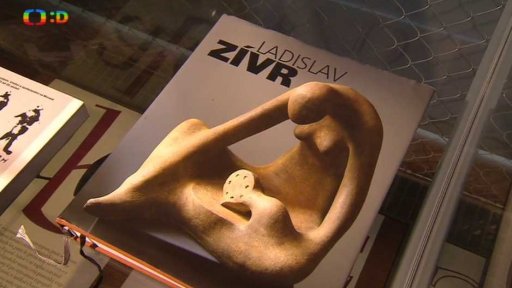 Nejkrásnější české knihy