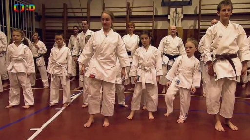Volný čas: Karate, nejrozšířenější bojové umění