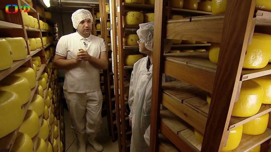 Technika: Jak se vyrábí sýry?