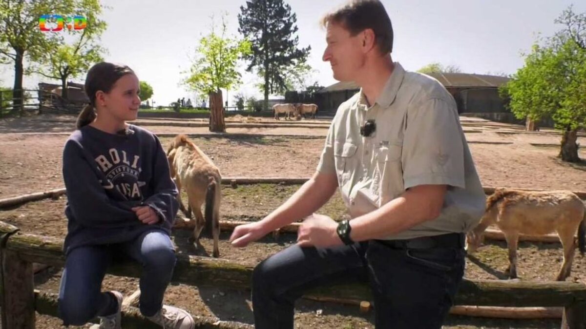 Wifina — Příroda: Česká Sibiř a Kůň Převalského – Videa – Déčko – Česká televize