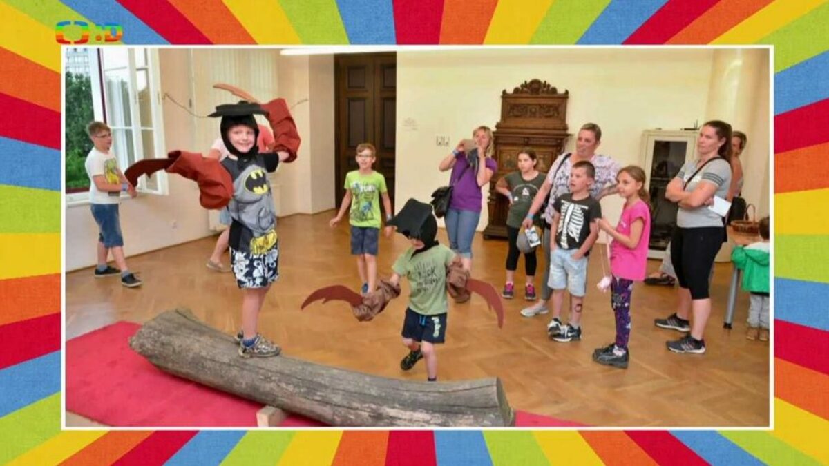 Tamtam — Zamilovaná příroda – Videa – Déčko – Česká televize