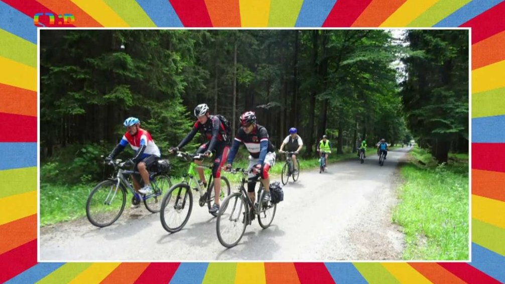 Tour de aleje – letní cyklojízda na podporu ochrany alejí