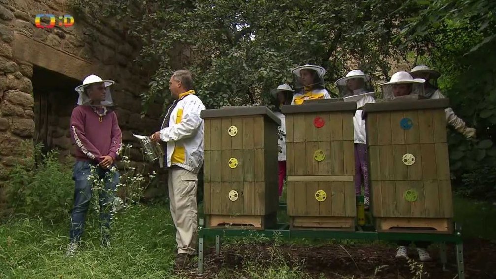 TýYó reportáž: Návštěva kroužku včelařů