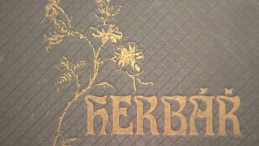 Výstava Kouzelný herbář