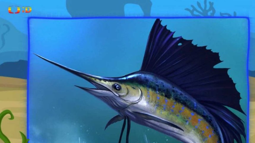 Zaostřeno na: Nejrychlejší ryby světa