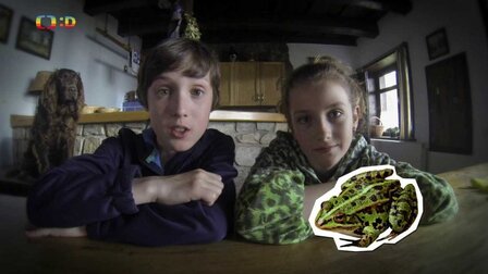Huberťácký videoblog – Žába