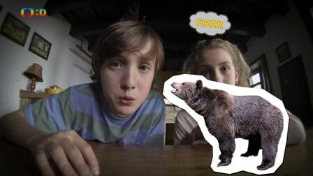 Huberťácký videoblog – Medvěd