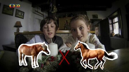 Huberťácký videoblog – Kůň