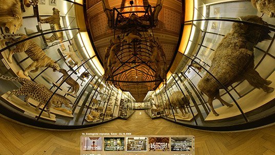 Virtuální prohlídka Národního muzea