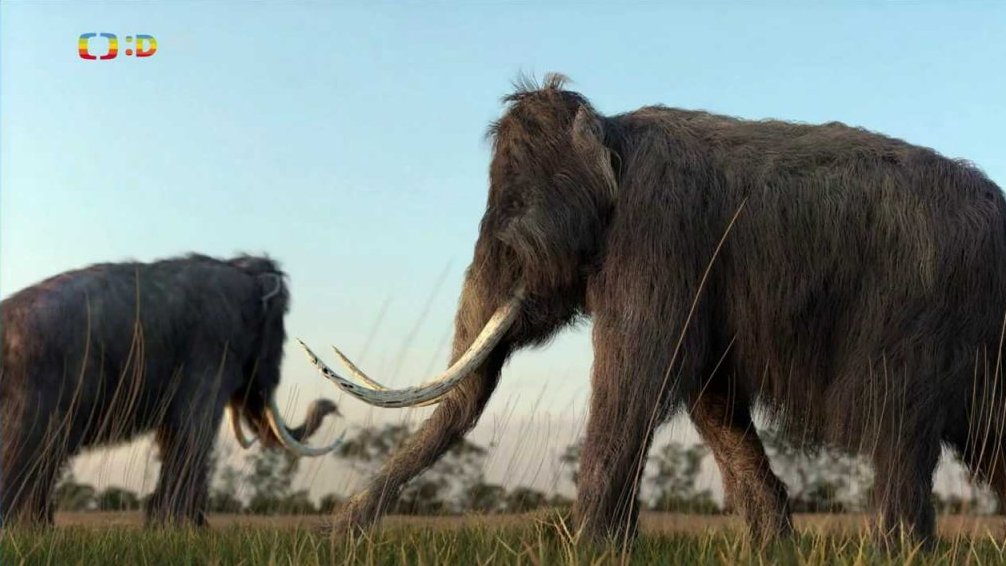 Zaostřeno na: Jak žil mamut