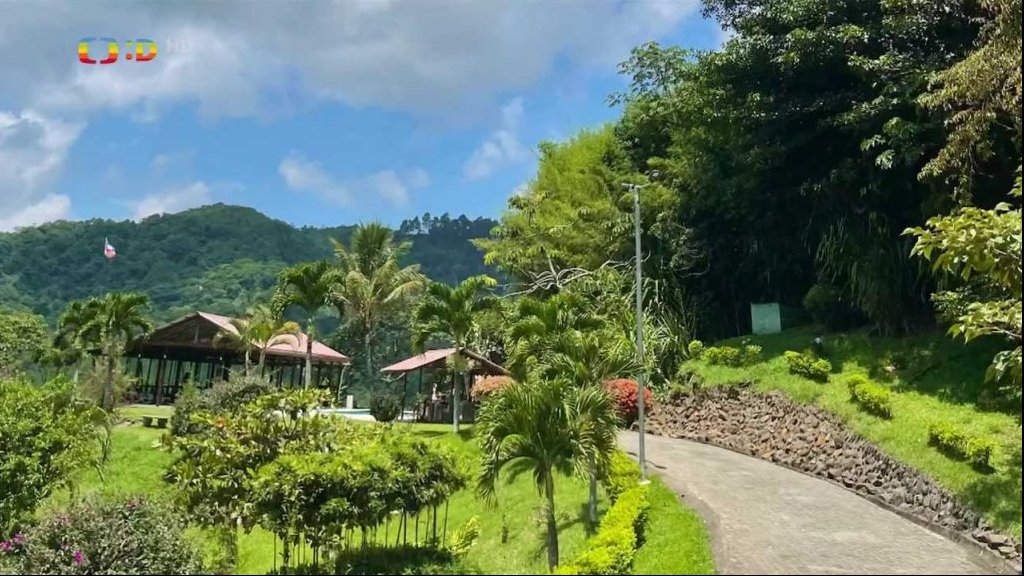 TýYó na výletě: Ráj na zemi jménem Kostarika