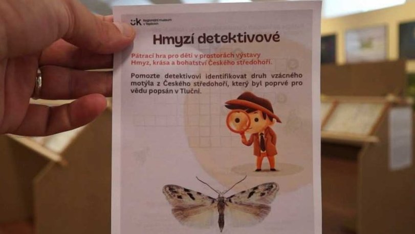 Hmyzí detektivové - pátrací hra pro děti na výstavě hmyzu (Hmyz, krása a bohatství českého středohoří)