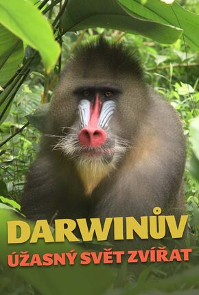 Darwinův úžasný svět zvířat