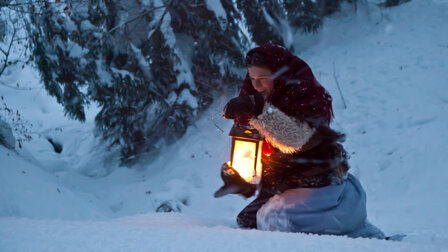 Dvanáct měsíčků