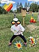 IMG_7596.jpeg