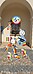IMG_2916.jpeg