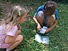 IMG_20260713_125600.jpg