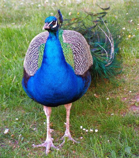 Kam za zvířaty: Listopad