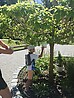 IMG_20250630_121422526.jpg