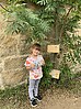 IMG_9586.jpeg