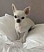IMG_5131.jpeg