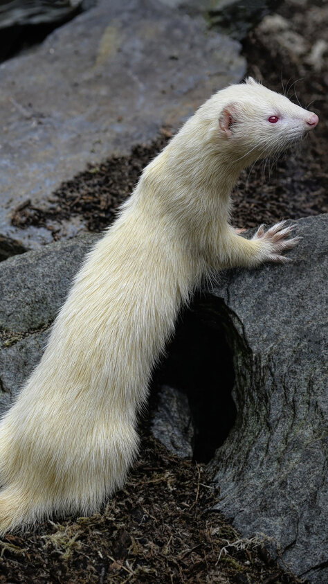 Kam za zvířaty: Únor