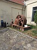20260806_091313.jpg