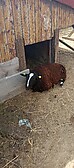 IMG_20250715_154717.jpg