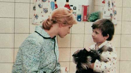 Jak vytrhnout velrybě stoličku