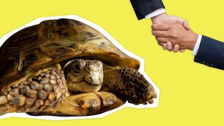 Politika se nás týká