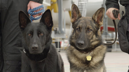 Jak to lítá na letišti