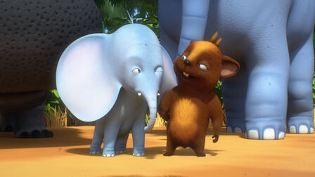 Nejmenší slon na světě