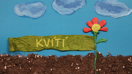 Živý svět: Kvítí