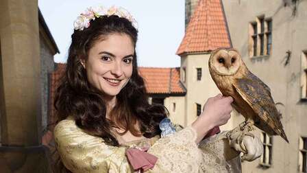 Princezna a půl království