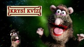 Krysí kvíz