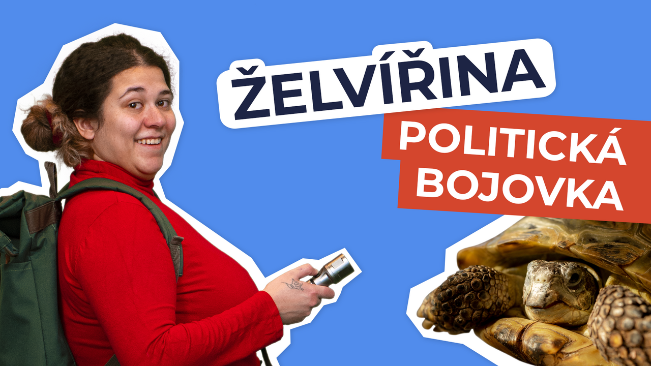 Želvířina politická bojovka